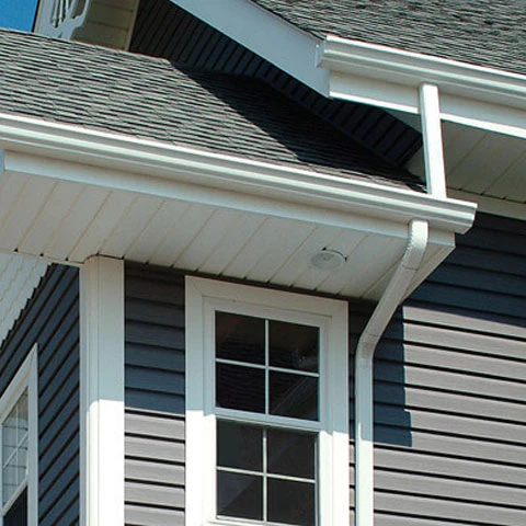Gutter Services